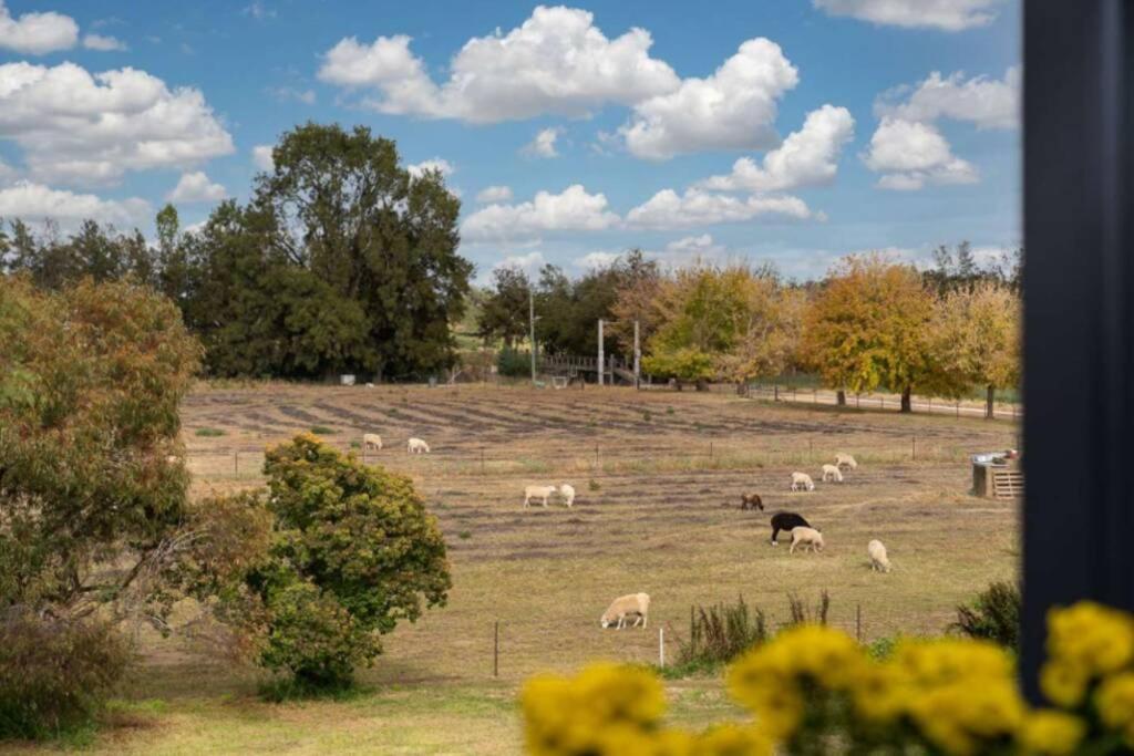 Heart Of Canowindra - Heritage Escape With A View Villa Ngoại thất bức ảnh